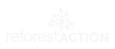 reforest